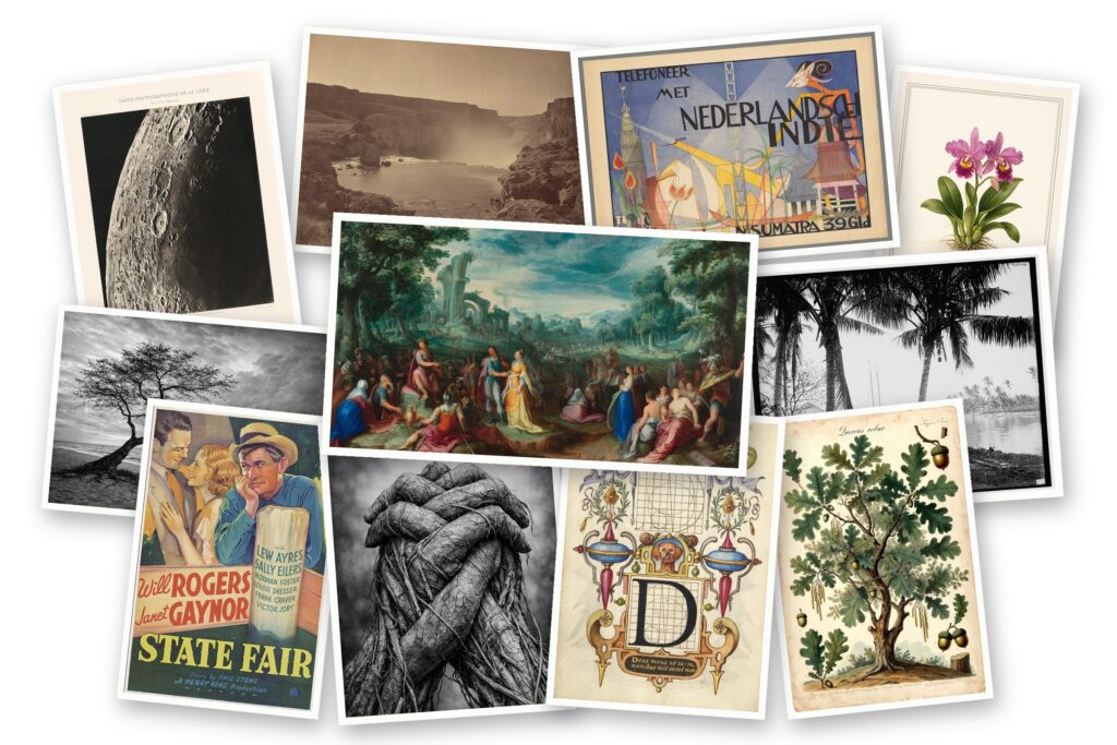 Collage of Artify Images artwork, including a Renaissance landscape painting, botanical plates, vintage posters, and historic photographs
